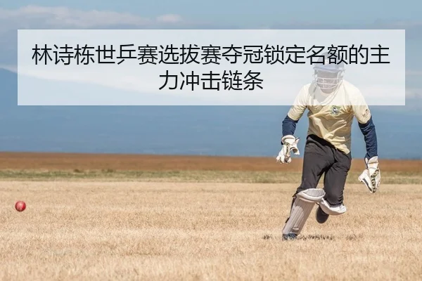林诗栋世乒赛选拔赛夺冠锁定名额的主力冲击链条